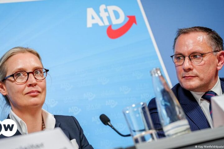 Germany's AfD riding high despite setbacks