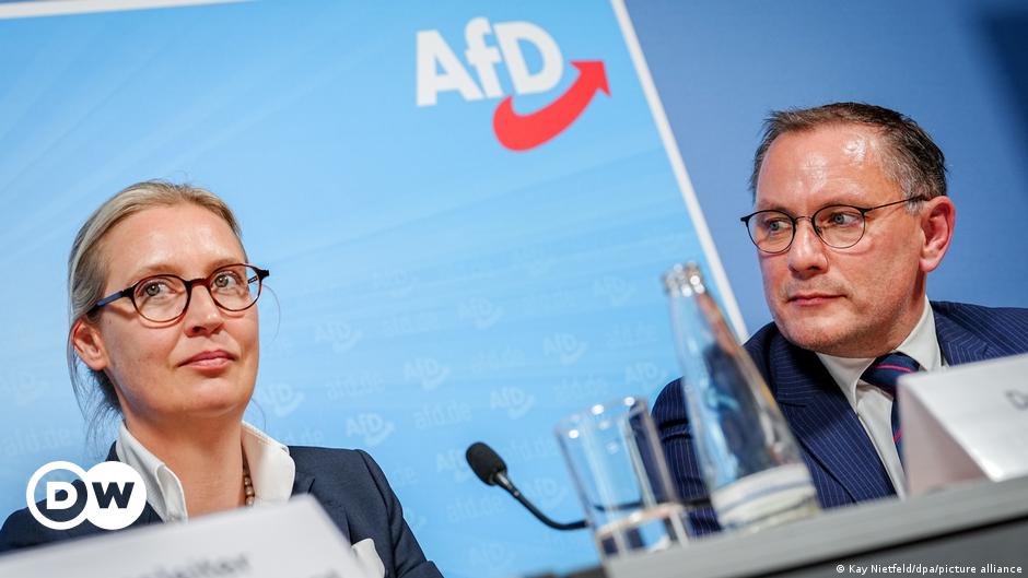 Germany’s AfD riding high despite setbacks