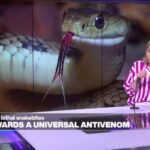 A step towards a universal antivenom: Curbing the toll of snakebites
