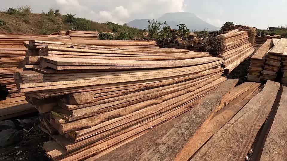 Congo's conflict fuels 'unprecedented' forest loss