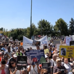 Protest in Ankara against stray dogs killing