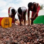 Ivory Coast combats child labor for chocolate