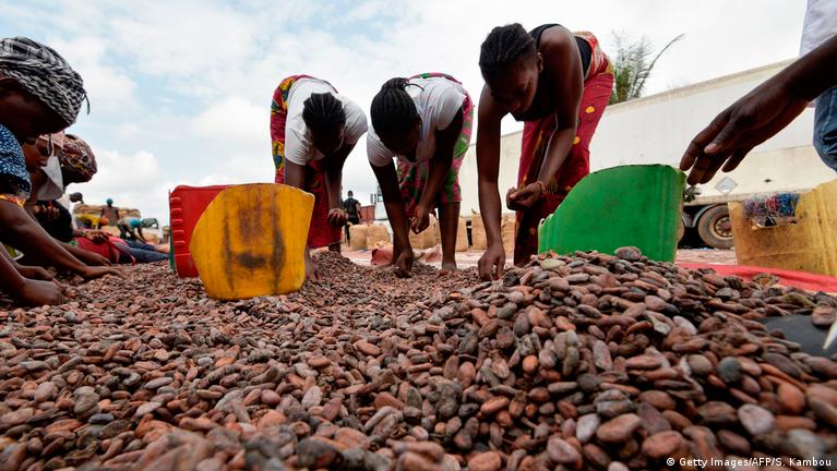 Ivory Coast combats child labor for chocolate